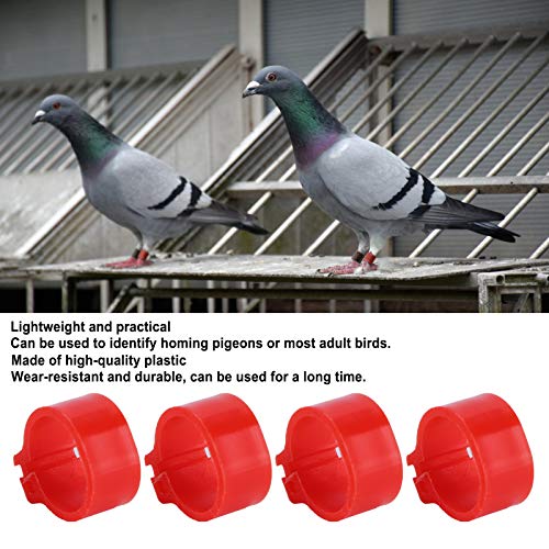 Jenngaoo 200 Stück Geflügel FuÃring, roter Kunststoff Identifizieren Sie FuÃclip Ring Training Tool für Geflügel Hühner Enten Gans Vogel Tauben(10mm) – Bild 5