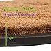 Milliard Doormat Extra-Thick Decorative Renaissance Coco Fiber Half Round Heavy Duty Doormat - 18x30in.
