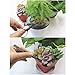 Adv-one Garden Bonsai Set, 8 Pcs Mini Gardening Hand Tools Set Include Pruner,Fold Scissors,Mini Rake,Bud & Leaf Trimmerthumb 3
