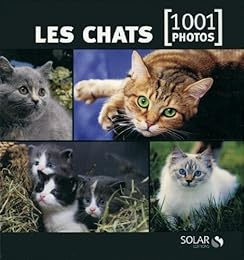 Les  chats