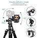 ZoMei Camera Tripod for DSLR with 360 Degree Ball Head Lightweight Alluminum Alloy Tripod for Canon Nikon DSLR and Camcorders(Black)