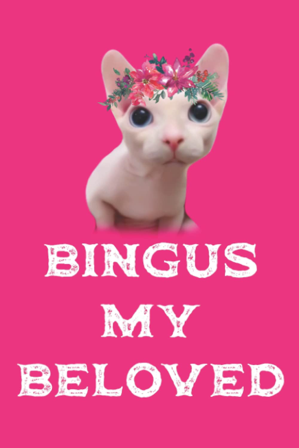 Bingus Meme Notebook: Cat Meme Blank Lined Notebook