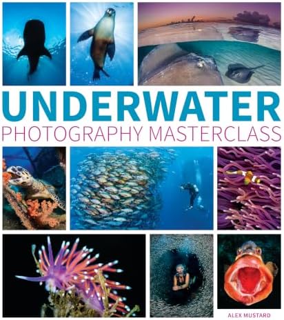 Amazon.com: 52 Assignments: Underwater Photography: 9781781454893