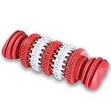 Dog's Chew Toy Dogs Teeth Cleaning Toy [Bite Resistant][Non-Toxic Soft Rubber]Jakpak Dog Chew Toys and Teeth Cleaning Toy for Aggressive Chewers Funny Rotary Rubber Gear Toy for Dogs Red