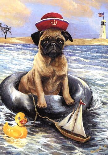 Pug Ahoy!-GF