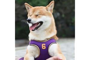 X-Shape Escape-Proof Dog Harness Vest, Reflective Padded Chest Strap with Matching Leash for Small & Medium Dogs Nylon & Poly