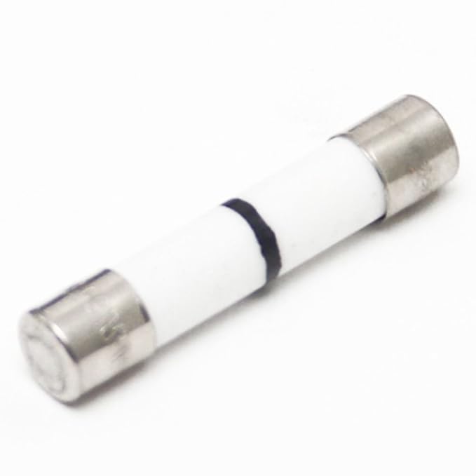 Lg 3B74133H - Fusible de microondas (pieza original): Amazon.es ...