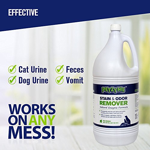 Petzyme Pet Stain Remover & Odor Eliminator, Enzyme Cleaner for Dogs