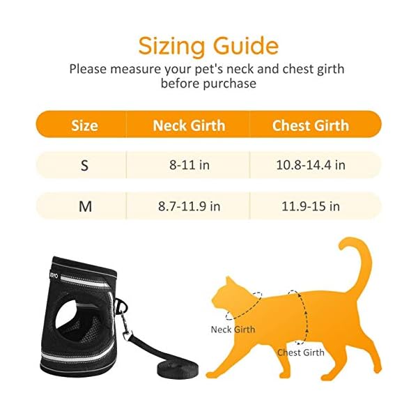 kitty holster sizing