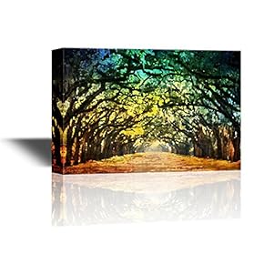 Canvas Wall Art - Abstract Landscape of Avenue with Old Trees Covering Above - Gallery Wrap Modern Home Art | Ready to Hang - 12x18 inches