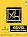 Canson XL Series Bristol Paper, Vellum, Foldover Pad, 9x12 inches, 25 Sheets (100lb/260g) - Artist Paper for Adults and Students - Charcoal, Pen and Ink, Marker, and Pastel
