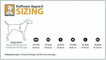 cloud chaser dog jacket