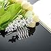Gentlecarin Vintage Bling Crystal Hair Comb for Women Princess Luxury Style (Y0N7)