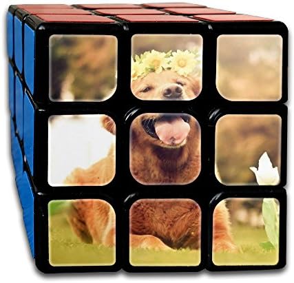 Smooth Sequential Puzzle Toy Dog-wallpaper Speed Cube Standard 3x3 Smooth Magic Cube Puzzles, IQ Games Puzzles