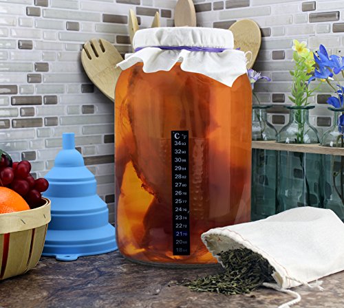 image for Solstice Tea Traders Deluxe Kombucha Jar Gift Set w/ Accessories; Gall