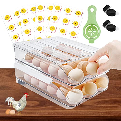 TAOPE Egg Holder for Refrigerator, Scrolling Egg Storage Container Reusable, Double Layer Fridge Egg Trays 36 Grids, Auto Rolling Egg Organiser Egg Storage, Smart Way to Ensure Older Eggs Get First