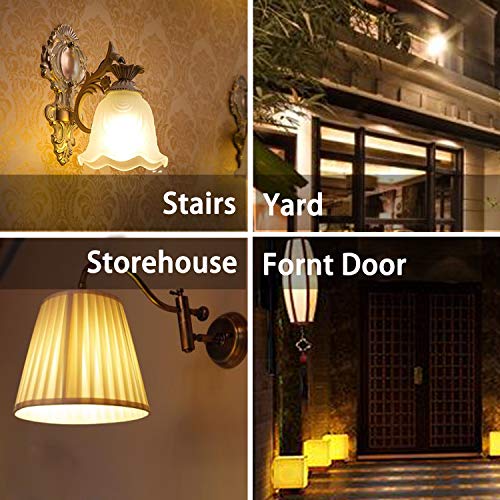 RAYHOO Dusk to Dawn Night Light Bulb E12 Base LED Sensor Bulb 6W