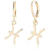 TGOLM 14k Gold Plated Zodiac Sign Drop Hoop Earrings for Women Birthday Gift