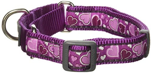 Red Dingo Martingale Breezy Love 20mm Choke Collar, Medium/Large, Purple