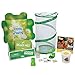 Insect Lore Live Praying Mantis Gift Set