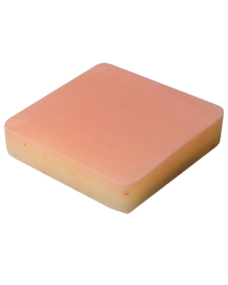 Simulab Complex Tissue Pad for Suturing TSC-10