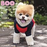 Boo Wall Calendar (2017)