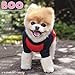 Boo Wall Calendar (2017)