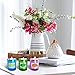 YIH Scented Candles Gifts Set for Women, Natural Soy Wax, 12 x 2.0 Oz Portable Glass Candles with Strongly Fragrance Essential Oils for Stress Relief and Aromatherapy – 12 Packthumb 2