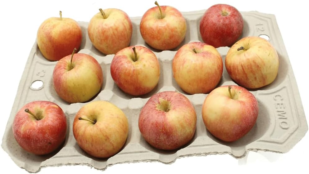Gardening Naturally Apple Tray Crop Storage Biodegradable 10 Pack
