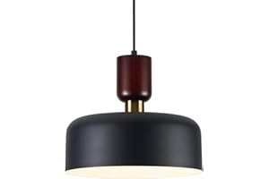 TeHenoo Modern Pendant Lights,Natural Wood and Brass Accent,Adjustable Pendant Lighting for Kitchen, Dining Room, Black