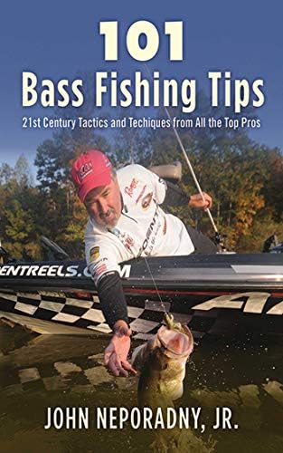 Largemouth Bass Presentation: Dynamic Lure Trends That Boat Bass