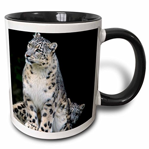 3dRose Snow Leopard, Panthera Uncia, Asia Mug, 11 oz, Black