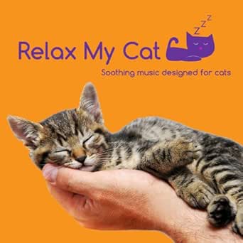 music for calming cats
