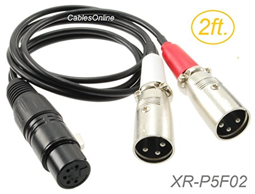 CablesOnline, 2ft. XLR 5-Pin Female to 2x XLR 3-Pin Male Stereo or Dual-Elements Microphone Cable, XR-P5F02