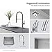 Kraus KPF-1640CH Nola Kitchen Faucet Chrome