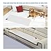 iPetDog Indoor Electronic Pets Training Mat for Dogs and Cats Pet Stay Away Mat Pet Shock Mat 6012,4820,3016 inches Transparent PVC (3016 inches)