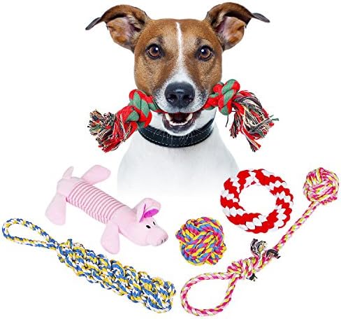 Creaker Puppy Dog Chew Toys, Animal Design Cotton Rope Dog Toys for Puppy Pet Play Chew and Training