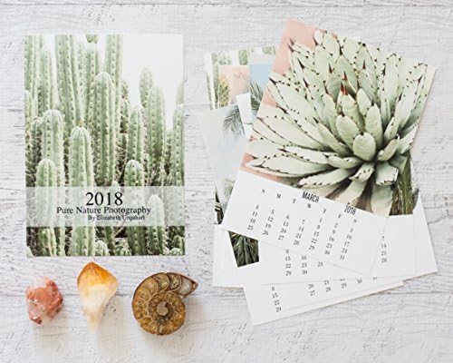 2018 Cactus Calendar, Small Desk Calendar 5x7 inches