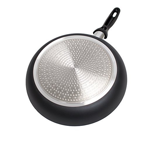 Alpha Living Induction Bottom Aluminum Nonstick FryingPan Grey Fry Pan