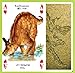 Dinosaur Playing Cards