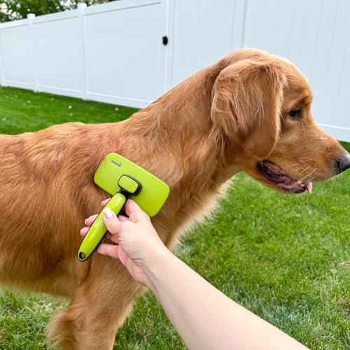 pecute Cat Brush for Large Dogs Cats and Dogs, Cat and Dog Brush with Stainless Steel Teeth, Non-slip Handle, Detangles Tangles and Reduce Falling by Up to 90%, Green