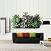 Vertical Garden Planter, Kisstaker 4 Pockets Wall Haning Felt Planter Bags Wall Mount Planter Indoor Outdoor Planter Growing Bag