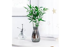 Transparent Minimalist Vase for Hydroponic Plants & Floral Arrangements, Creative Small Fresh Decor for Living Room, Home Off