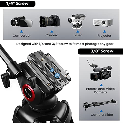 80" /203cm Video Tripod Heavy Duty Tripod with 360° Fluid Head,Mactrem Aluminum Tall Tripods