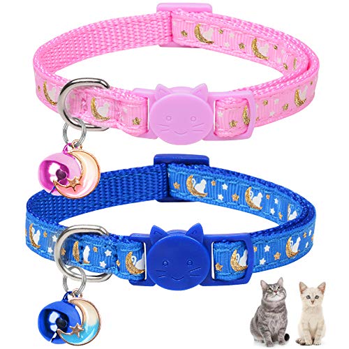 boy kitten collars