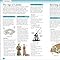 Eyewitness Workbooks Medieval Life: DK: 9780744034547: Amazon.com: Books