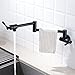 DuranRyan Pot Filler Faucet Wall Mount Single Hole Two Handle Faucet with Swing Arm, Cold Water Only, Matte Black Finished