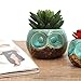 MyGift Small Owl Ceramic Succulent Planter, Flower Pot Vase, Turquoise & Brown