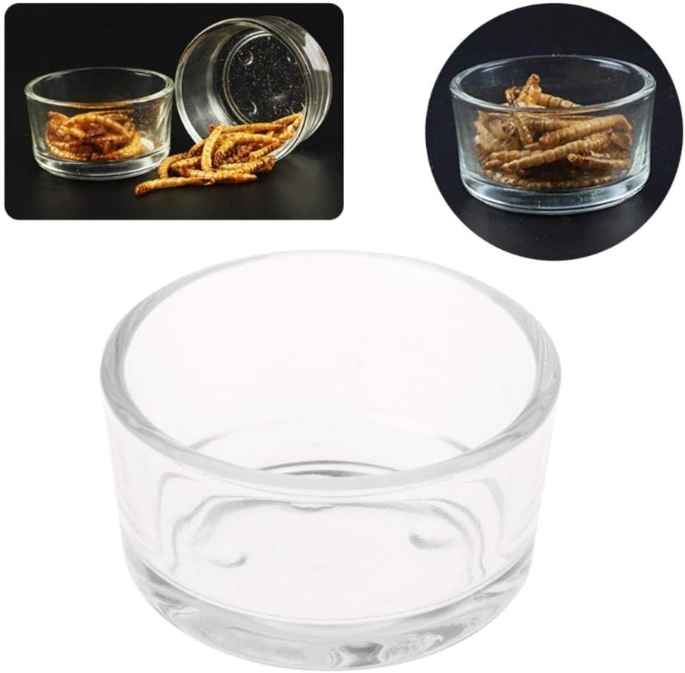 EDCV Glass Bowl Cup Lizard Turtle Cricket Basin Feeding Reptile Feeder Water Food