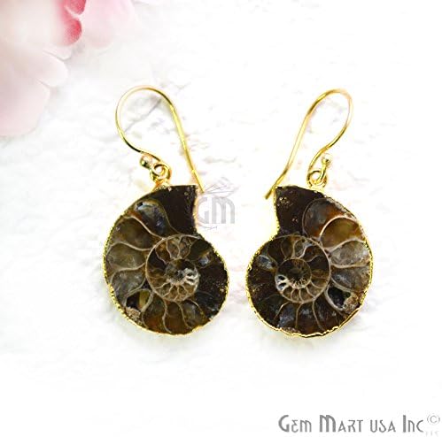 GemMartUSA Ammonite Dangle Earring, Hook Earrings,Gemstone Earrings, Dangle Earring (ANER-90071)